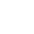 11月